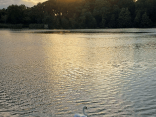 Video: Picture This - Reflections in Brecon and Radnorshire!