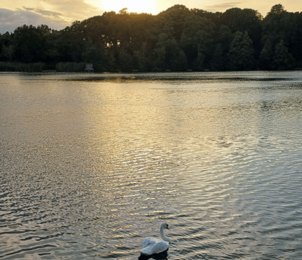 Video: Picture This - Reflections in Brecon and Radnorshire!