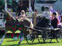 Emily and Alfie bring home bronze from Germany