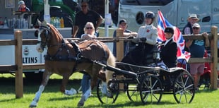 Emily and Alfie bring home bronze from Germany