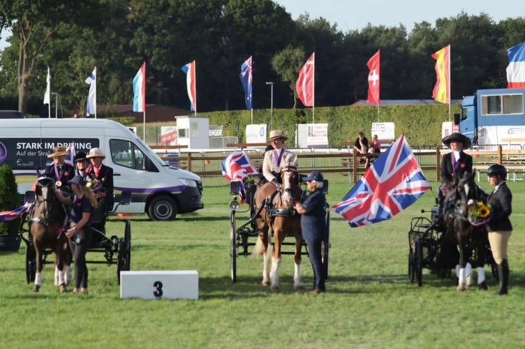 Team Bronze!