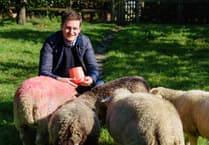 Defra says ‘no decision yet’ after MP voices funding fears