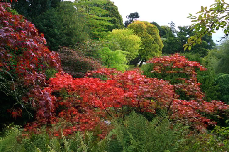 Hergest Croft Gardens Kington