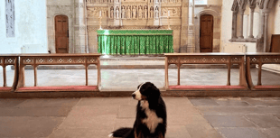 Brecon Cathedral set for pets this weekend