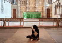 Brecon Cathedral set for pets this weekend