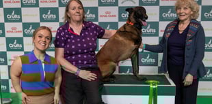 Crufts begins search for Nation’s Hero Dog 2026