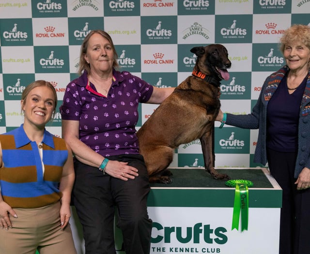 Crufts begins search for Nation’s Hero Dog 2026