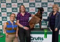 Crufts begins search for Nation’s Hero Dog 2026