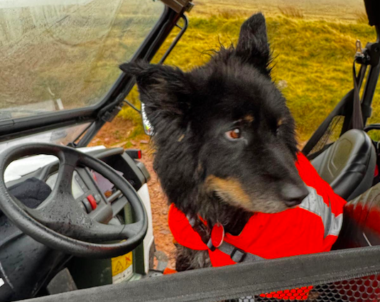 Brecon Mountain Rescue Team