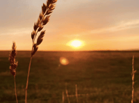 Video: Readers share their first signs of autumn photographs!