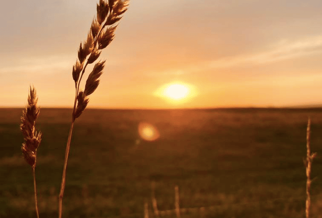 Video: Readers share their first signs of autumn photographs!