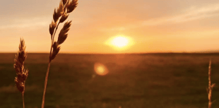 Video: Readers share their first signs of autumn photographs!