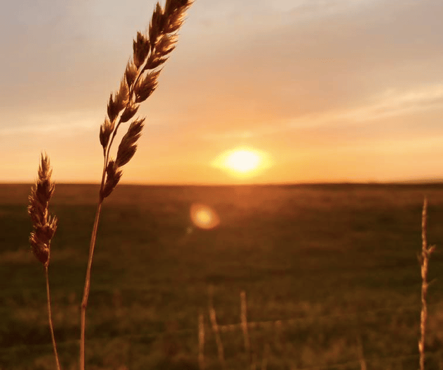 Video: Readers share their first signs of autumn photographs!