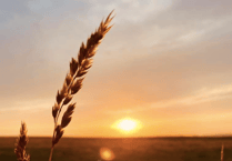 Video: Readers share their first signs of autumn photographs!