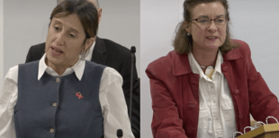 Wales’ high streets ‘competing with one hand tied’, warns MS