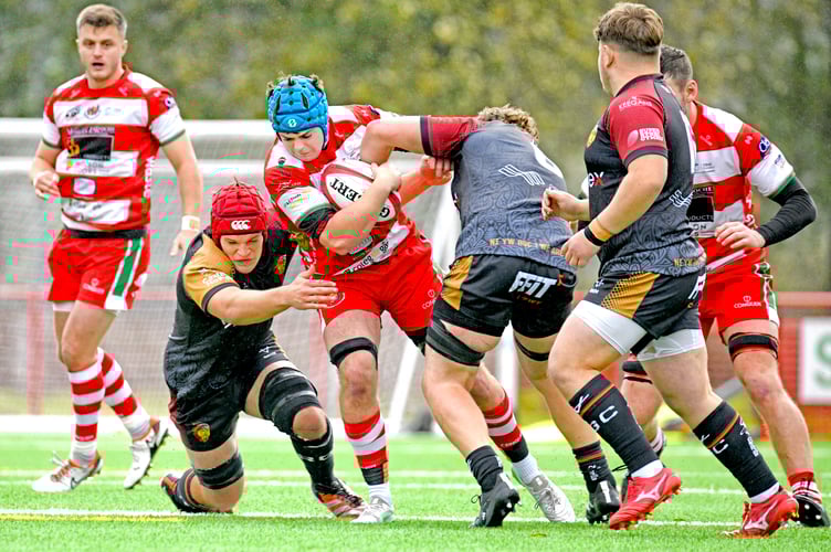 Tiaan Sparrow on the attack for Llandovery