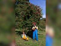 Natural cider makers to appear on BBC Countryfile this weekend