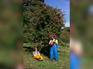 Natural cider makers to appear on BBC Countryfile this weekend