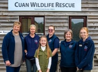 Photographer, 10, named Patron of wildlife charity