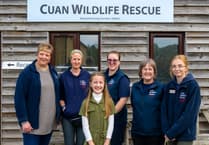 10-year-old Jamie becomes Patron for wildlife charity alongside Dame Joanna Lumley
