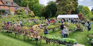 Hergest Croft Gardens Autumn Plant Fair attracts record exhibitors