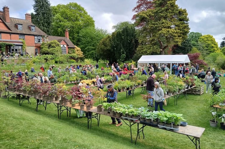 Hergest Croft Gardens