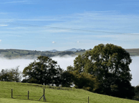 Readers share their autumn walks images!