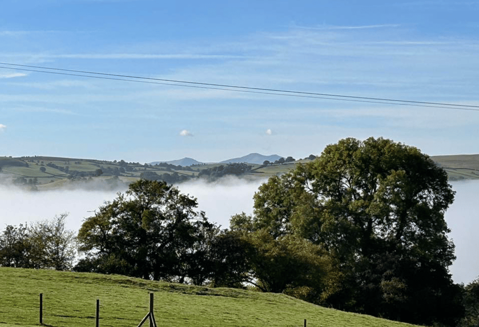 Readers share their autumn walks images!