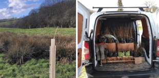 16,000 trees planted in Wye catchment