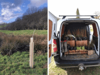 16,000 trees planted in Wye catchment