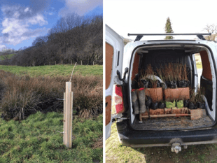 16,000 trees planted in Wye catchment