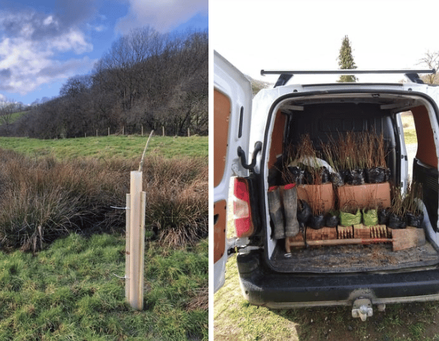 16,000 trees planted in Wye catchment