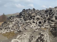 Illegal tyre dump costs Powys company and director £69,000