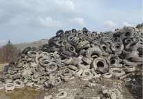 Illegal tyre dump costs Powys company and director £69,000