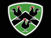 Unstoppable Gwernyfed beat Chepstow in bonus-point win