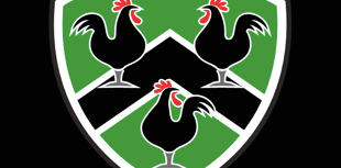 Unstoppable Gwernyfed beat Chepstow in bonus-point win