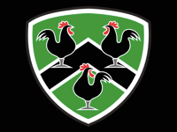 Unstoppable Gwernyfed beat Chepstow in bonus-point win