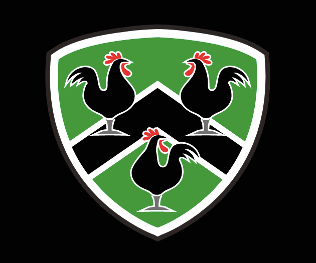 Gwernyfed Athletic power into final with 12-try win