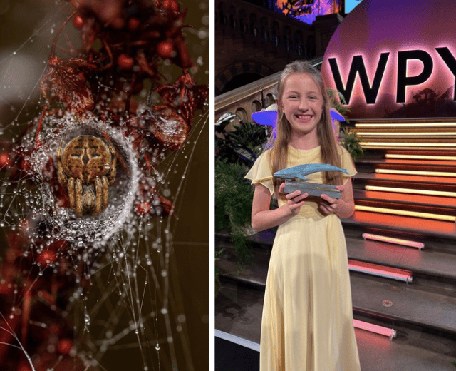 Jamie, 10, wins Wildlife Photographer of the Year