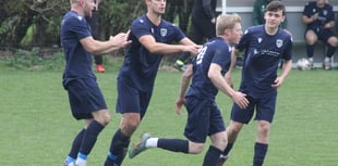 Price free-kick rescues Radnor Valley