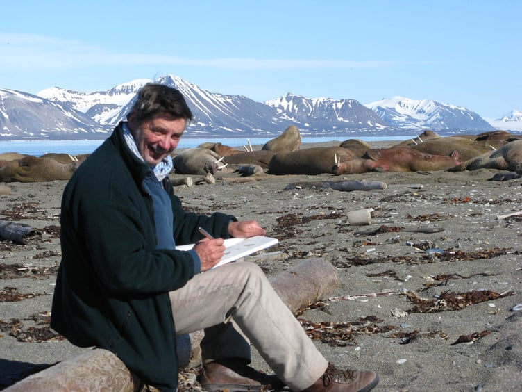 David Bellamy sketching walrus in Svalbard