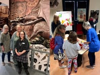 Rhayader Dragon Festival returns with a week of family fun