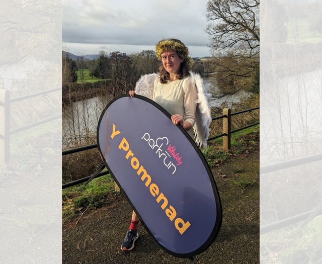 Brecon gets festive for Mental Elf 5k Fun Run