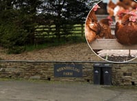 Green light for poultry farm house despite health concerns