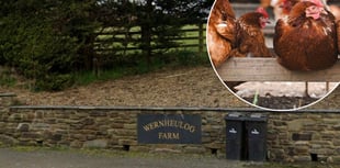 Green light for poultry farm house despite health concerns