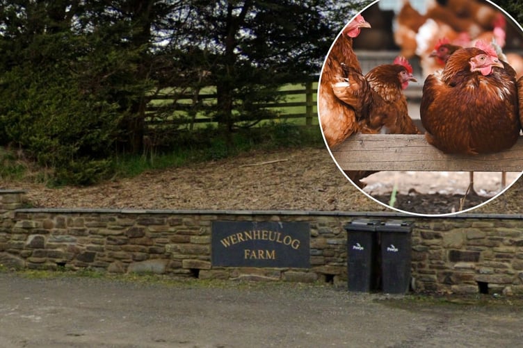 Plans for a rural enterprise dwelling next to poultry units at Wernheulog Farm near Builth Wells have been approved