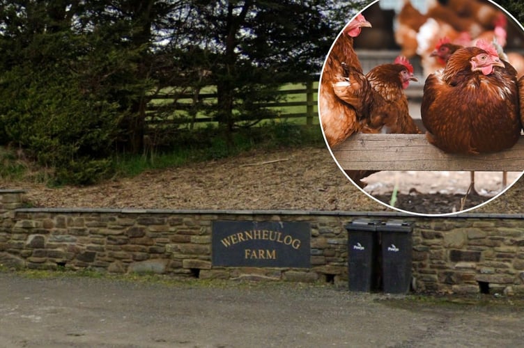 Plans for a rural enterprise dwelling next to poultry units at Wernheulog Farm near Builth Wells have been approved