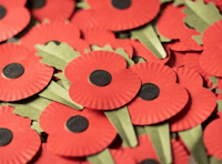 Support the Poppy Appeal in Brecon this Saturday