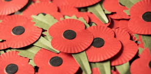 Support the Poppy Appeal in Brecon this Saturday