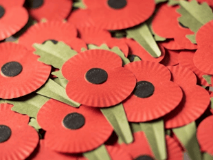 Support the Poppy Appeal in Brecon this Saturday